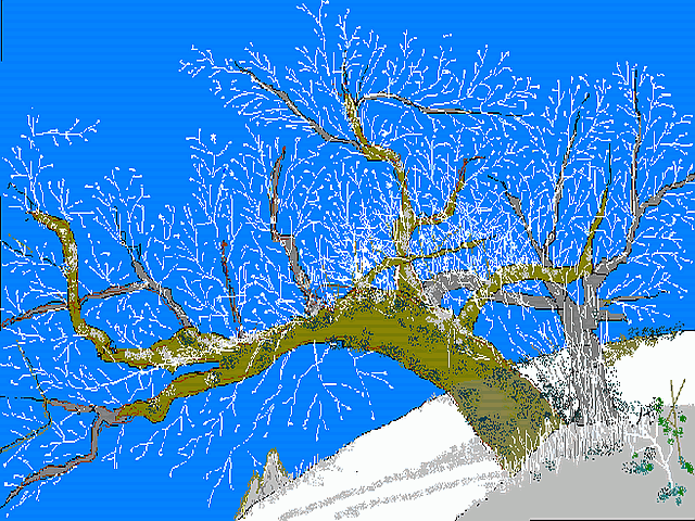 ダケカンバ樹氷